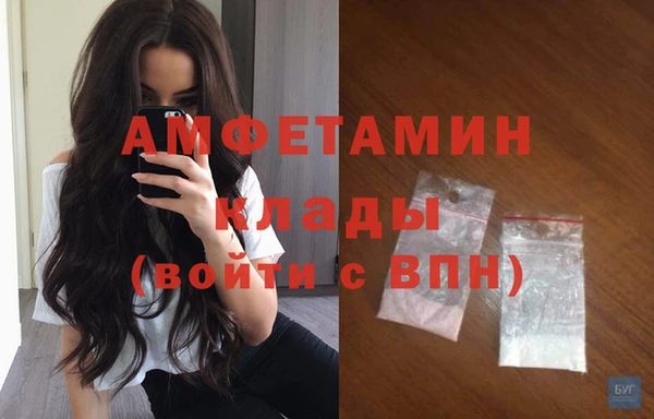 спиды Богородицк