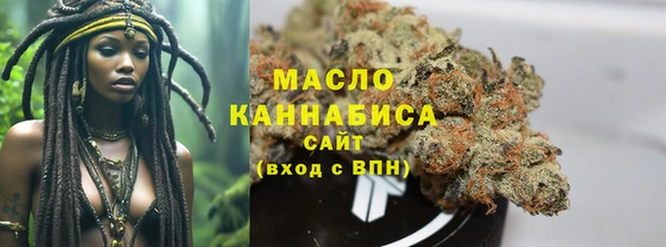 спиды Богородицк