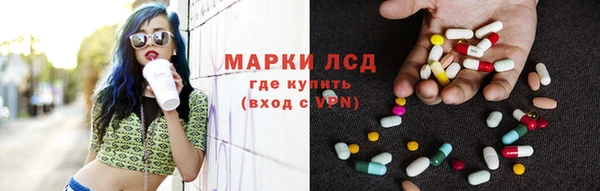 дмт Богданович