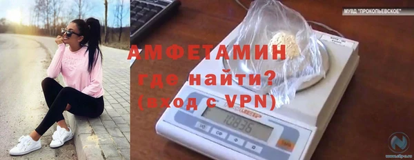 дмт Богданович
