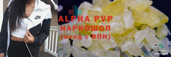 дмт Богданович