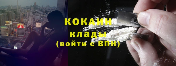 дмт Богданович