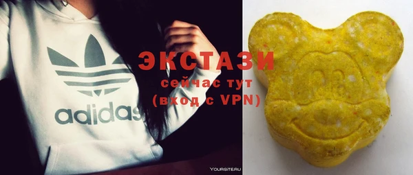 дмт Богданович
