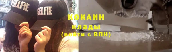спиды Богородицк