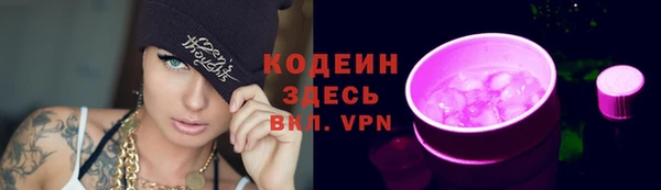 спиды Богородицк