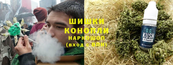 дмт Богданович