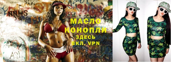 дмт Богданович
