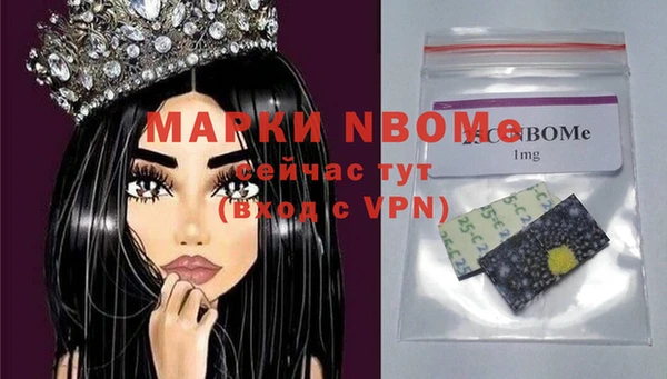спиды Богородицк