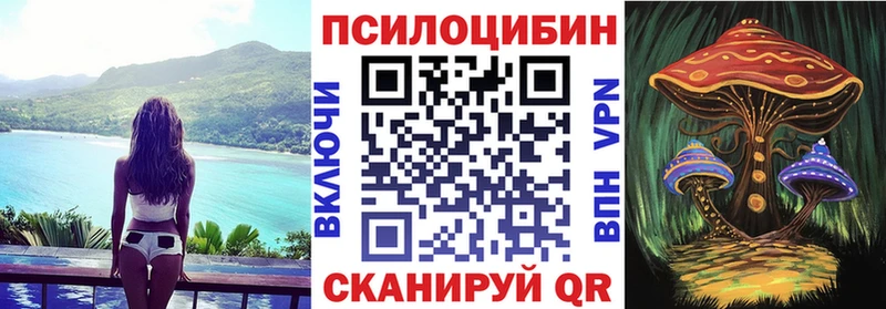 Купить  Малая Вишера  Галлюциногенные грибы Magic Shrooms 